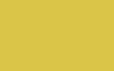 R-M : BC600 - Концентрированный грязно-жёлтый
