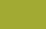 DEBEER : 543 - Transparent Yellow Green