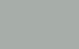 GAZ | 671 | GREY