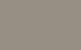 CHRYSLER | TL2 | LIGHT NATURAL BEIGE (7)(M) CHRYSLER | TL2 | LIGHT NATURAL BEIGE (7)(M)