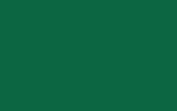 KAPCI : C763 - TRANSPARENT YELLOWISH GREEN