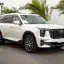 GAC MOTOR | A09, WB9 | SNOW WHITE 0