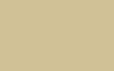 RAL : 1000 : GRUENBEIGE