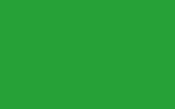 MIRAMISHI : C041 - YELLOW GREEN