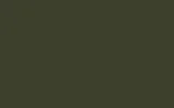 PORSCHE | L6H | NATO OLIVE