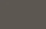 HYUNDAI | TI | SIENNA BROWN