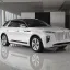 FAW HONGQI | 1J | COOL WHITE 1