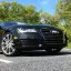 AUDI | LY8X | HAVANNA BLACK 1