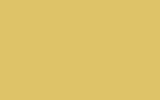 EASICOAT : B60 - Тёмно-желтый